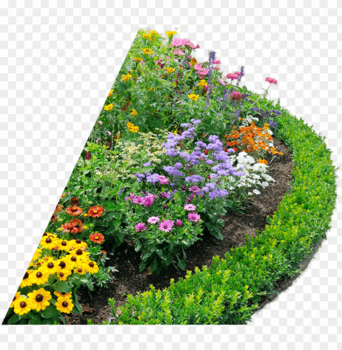 beautiful flower bed - ornamental plants Isolated Graphic on HighQuality Transparent PNG