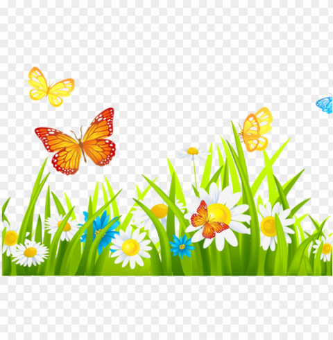 beautiful flowers 2019 flower garden drawing - garden border clipart free Transparent picture PNG
