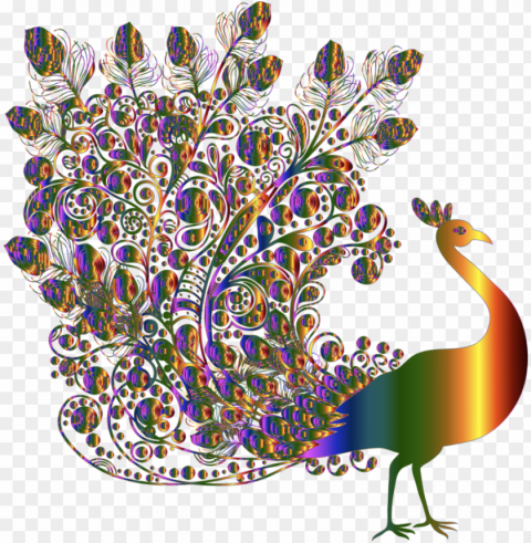 beautiful peacock PNG high resolution free
