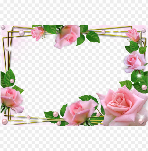 beautiful pink roses photo frame - beautiful flower frames and borders PNG images with transparent overlay
