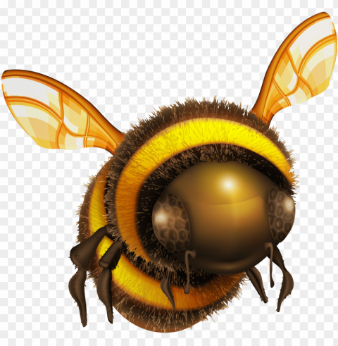 bee clip art - bee High-resolution transparent PNG images set