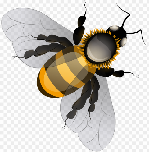 Bee Clip Art - Clip Art Bee PNG With No Background Required