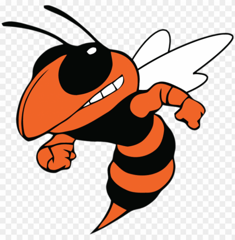 beech grove hornets - booker t washington high school logo Transparent PNG Isolated Object