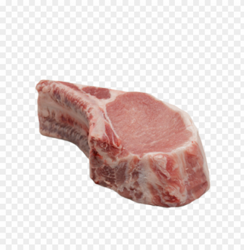beef food Transparent Background Isolation in PNG Format