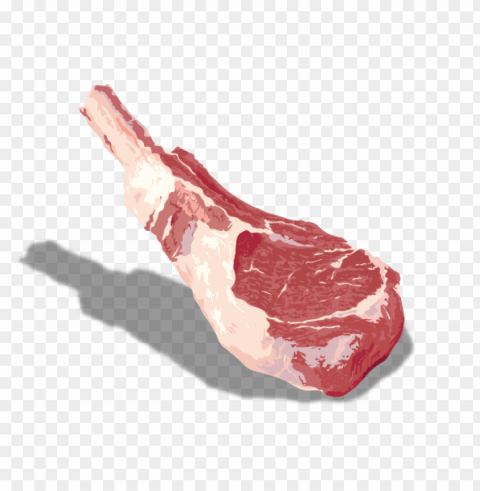 beef food wihout Transparent Background Isolated PNG Illustration