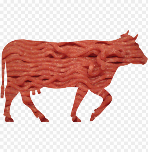 beef meat PNG for digital art