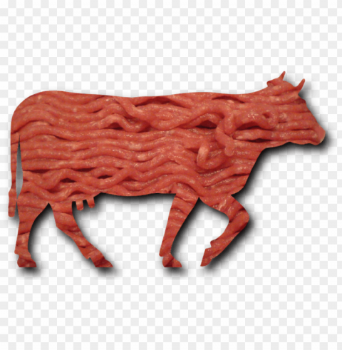beef meat PNG for Photoshop