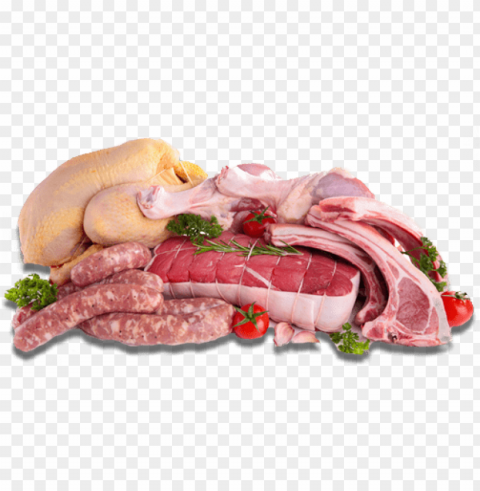 beef meat PNG Image Isolated with Clear Background