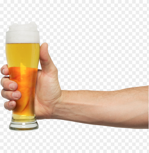 Beer Food No Background Transparent PNG Vectors