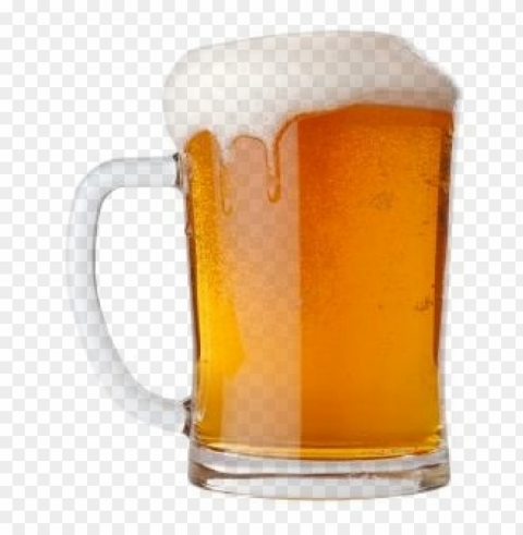 Beer Food File Transparent PNG Isolated Graphic Element