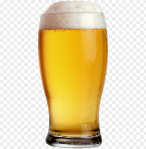 beer food transparent photoshop Clean Background Isolated PNG Graphic Detail - Image ID 2ef69d2d