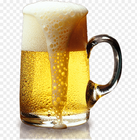 Beer Food Transparent Clear Background Isolated PNG Graphic