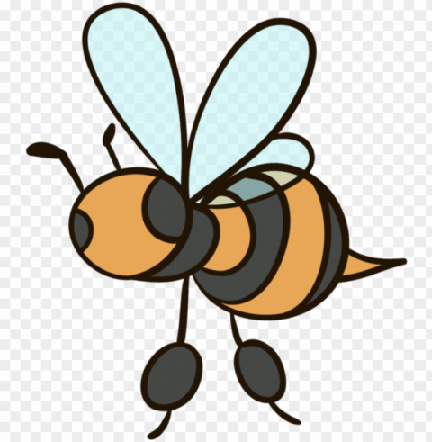 bees - bee Isolated Element on HighQuality Transparent PNG