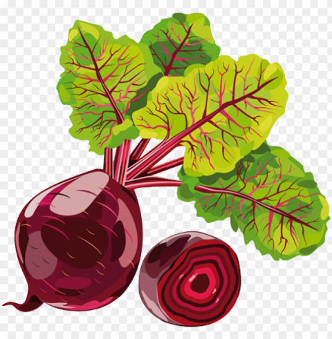 beetroot clipart sugar beet - beetroot ClearCut Background Isolated PNG Design