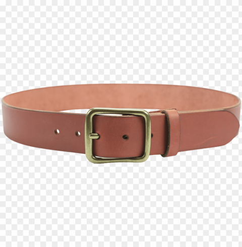 Belt Picture - Dog Collar Background High-quality Transparent PNG Images Comprehensive Set