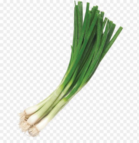 bengard ranch green onions - green onions PNG Graphic with Transparency Isolation