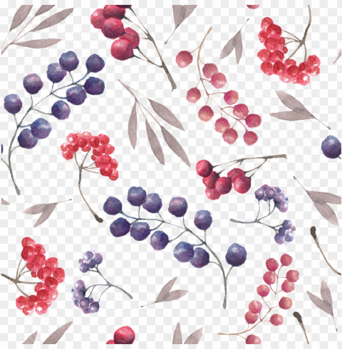 berry vector cherry fruit - currant Transparent PNG graphics bulk assortment