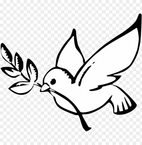best drawing 2 dove outline cloud - peace dove Isolated Element with Clear PNG Background