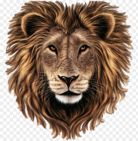 best free lion in - poem on lion in hindi Isolated Design Element in PNG Format
