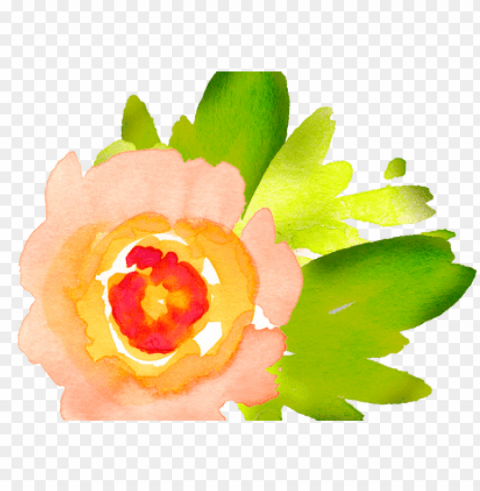 best wild flowers free clip art watercolor - watercolor flowers clipart transparent PNG format