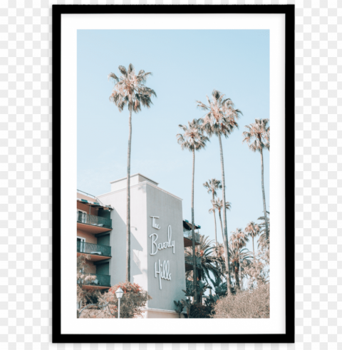 beverly hills hotel pt - picture frame Clean Background Isolated PNG Image