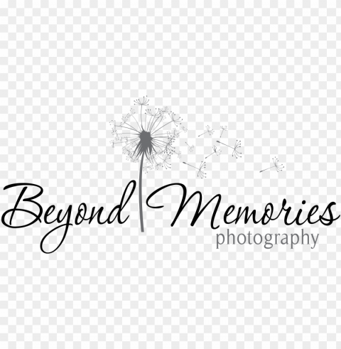 beyond memories photography - pesca PNG transparent photos vast variety