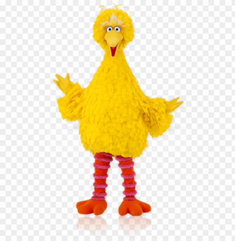 big bird high resolution PNG Image with Transparent Isolated Graphic PNG transparent with Clear Background ID fa4cc734