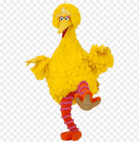 big bird sesame street PNG graphics with transparency