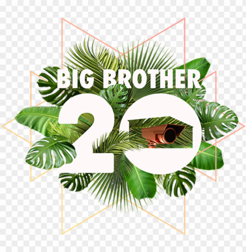 big brother - big brother season 20 episode 1 Isolated Item on Transparent PNG Format