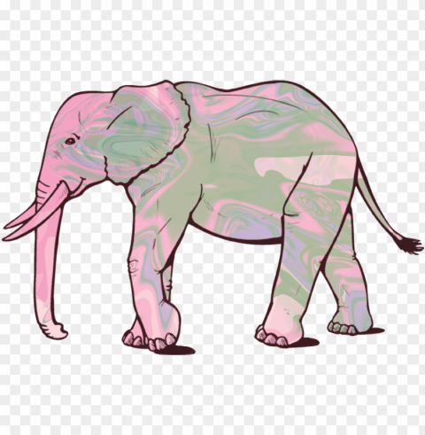 big elephants coloring pages PNG files with clear background variety