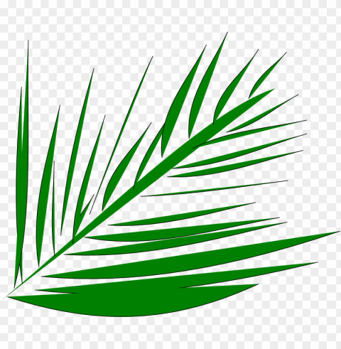 big image - palm leaves transparent clipart PNG pictures with no backdrop needed