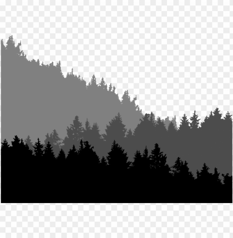 big image - spruce-fir forest High-resolution transparent PNG images