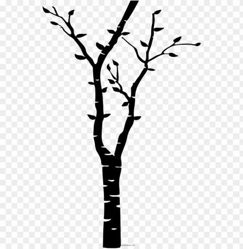 birch tree coloring page - birch tree svg free PNG transparency