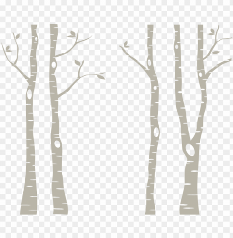 birch trees - white birch trees PNG for overlays