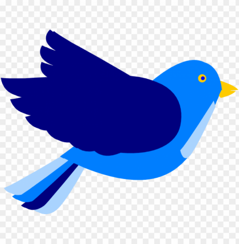 Bird PNG Graphic With Transparent Isolation