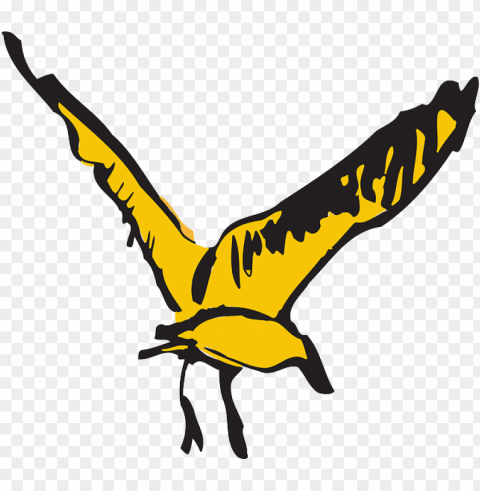 Bird PNG Images Free