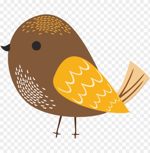 bird PNG transparent photos mega collection