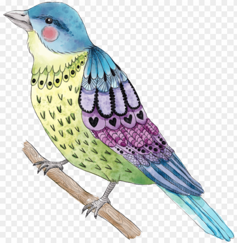 Bird Isolated Illustration In Transparent PNG