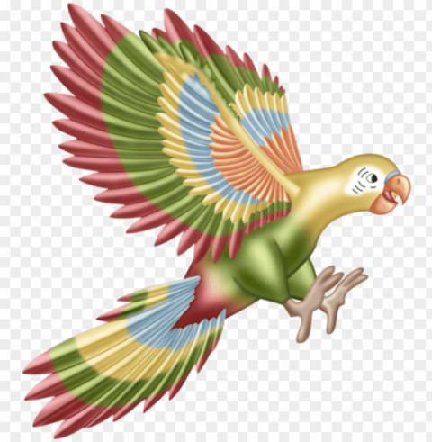 Bird Isolated PNG Item In HighResolution