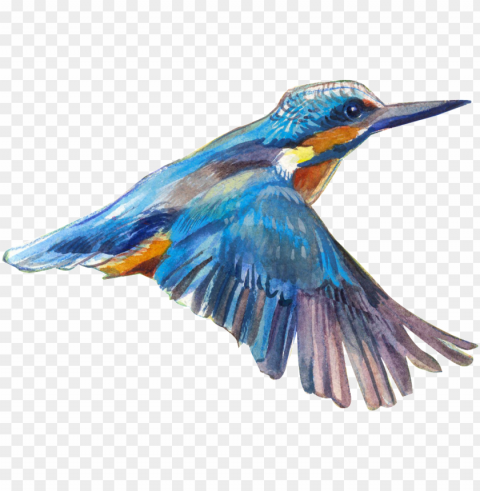 bird PNG for use PNG transparent with Clear Background ID 12a3454f