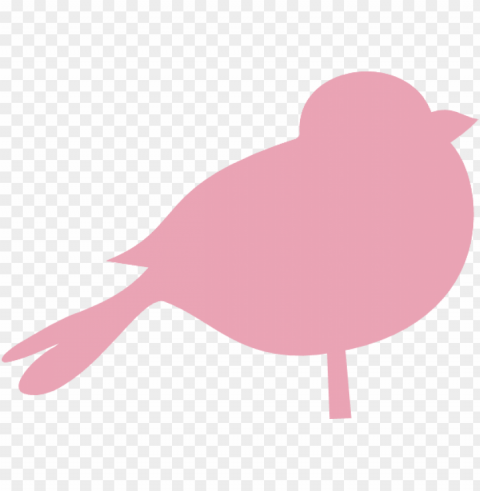 Bird PNG Image With Clear Background Isolated