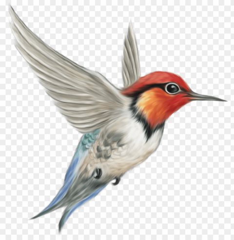 Bird Free PNG Download