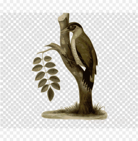 bird PNG images with transparent backdrop PNG transparent with Clear Background ID 24f567a9