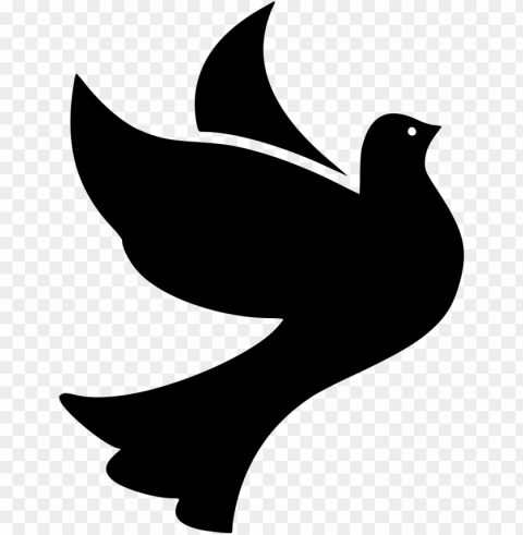 bird birds dove doves flight fly flying peace comments - free dove sv Isolated Graphic on Clear PNG PNG transparent with Clear Background ID f7089b92