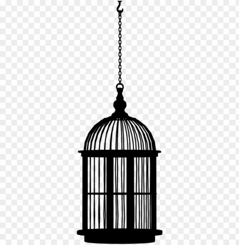 bird cage Transparent PNG Isolated Element