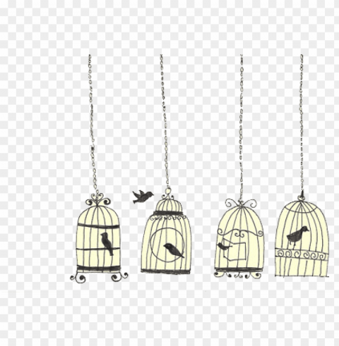 bird cage drawing Transparent PNG Isolated Graphic with Clarity