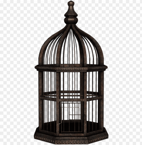 bird cage - bird cage background Transparent PNG Isolated Illustrative Element