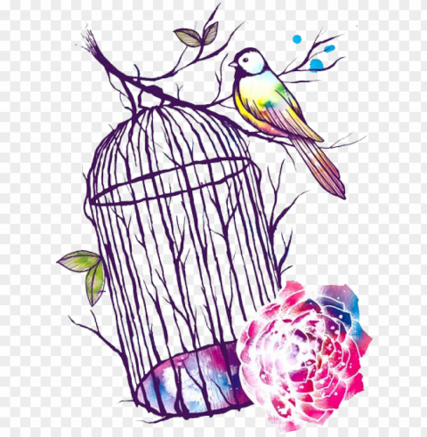 bird cage shared by cydine on we heart it clip art - perching bird Isolated Subject in Transparent PNG Format