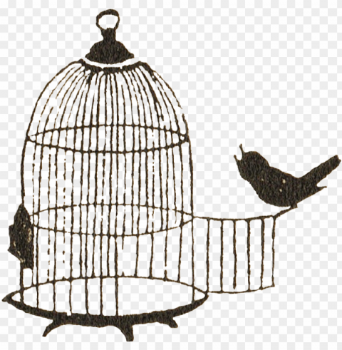 bird cage silhouette 001 copy - caged bird clip art Isolated Subject on HighResolution Transparent PNG