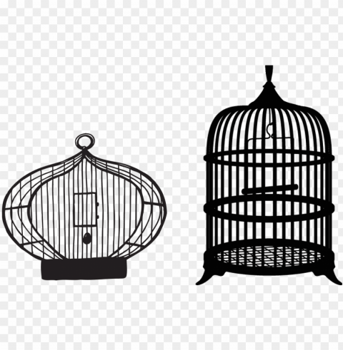 bird cage background Transparent PNG Isolated Artwork